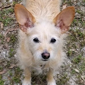 Meet your Posher, Nancy lee